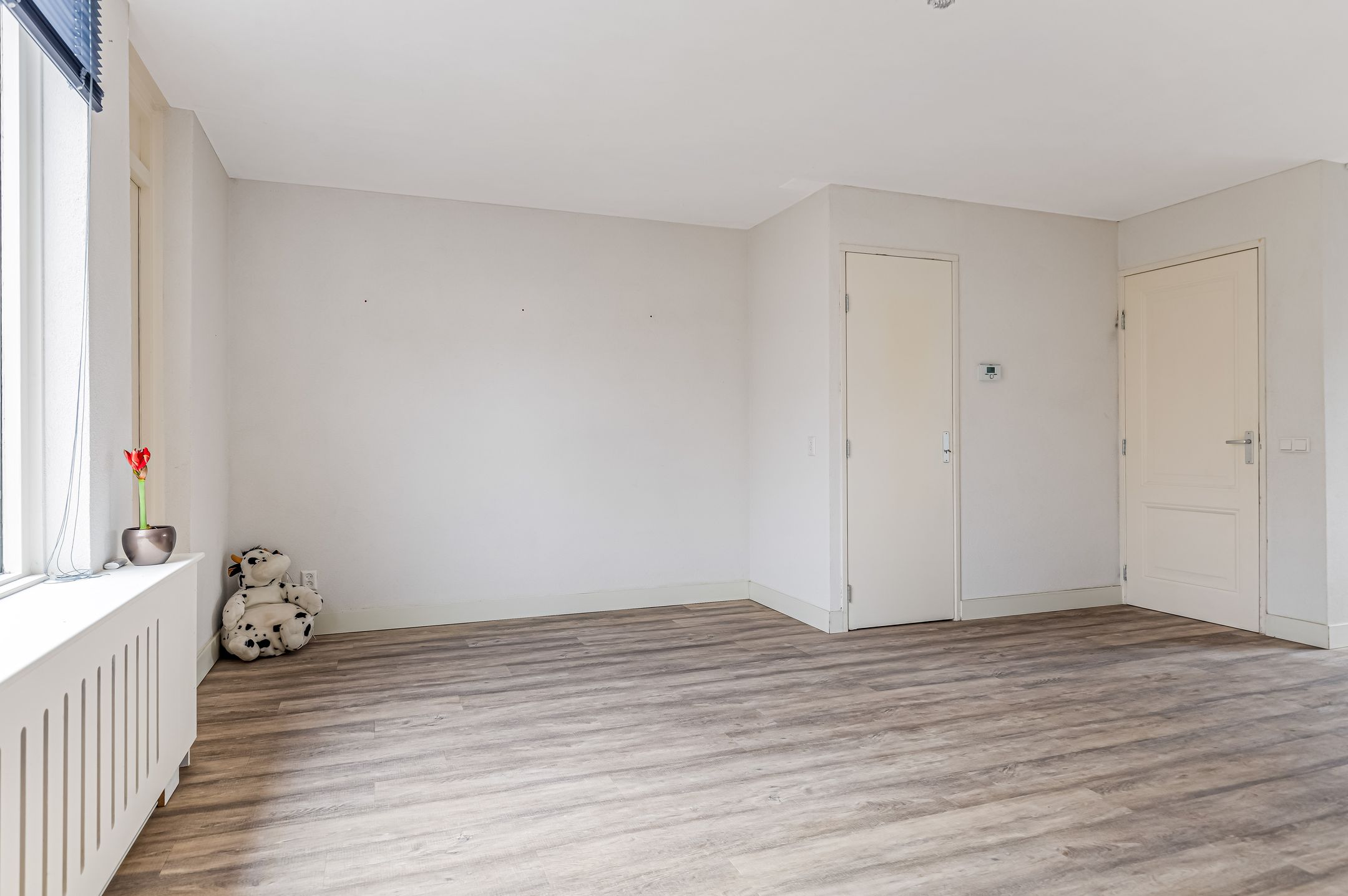 Foto 15 van Fluitekruid 58