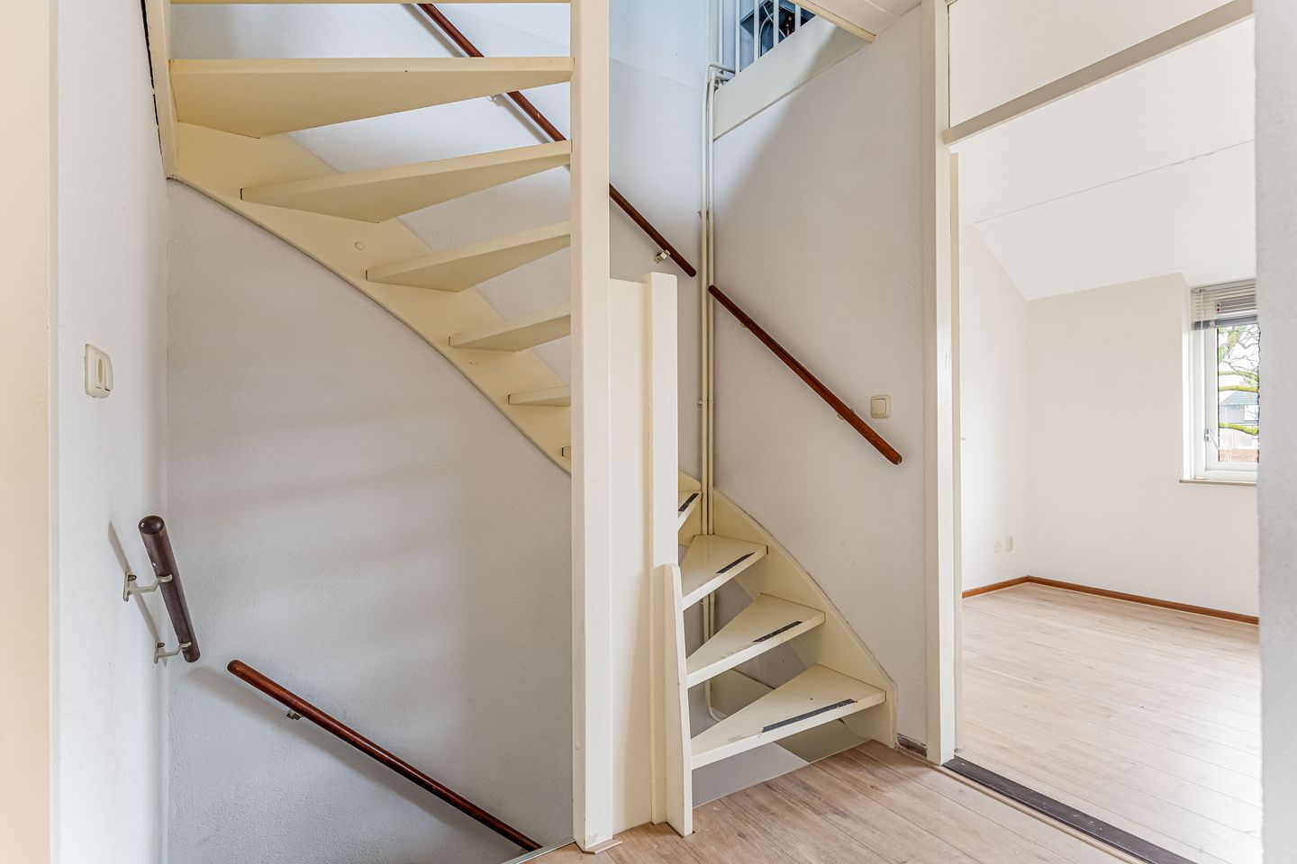 Foto 20 van Fluitekruid 58