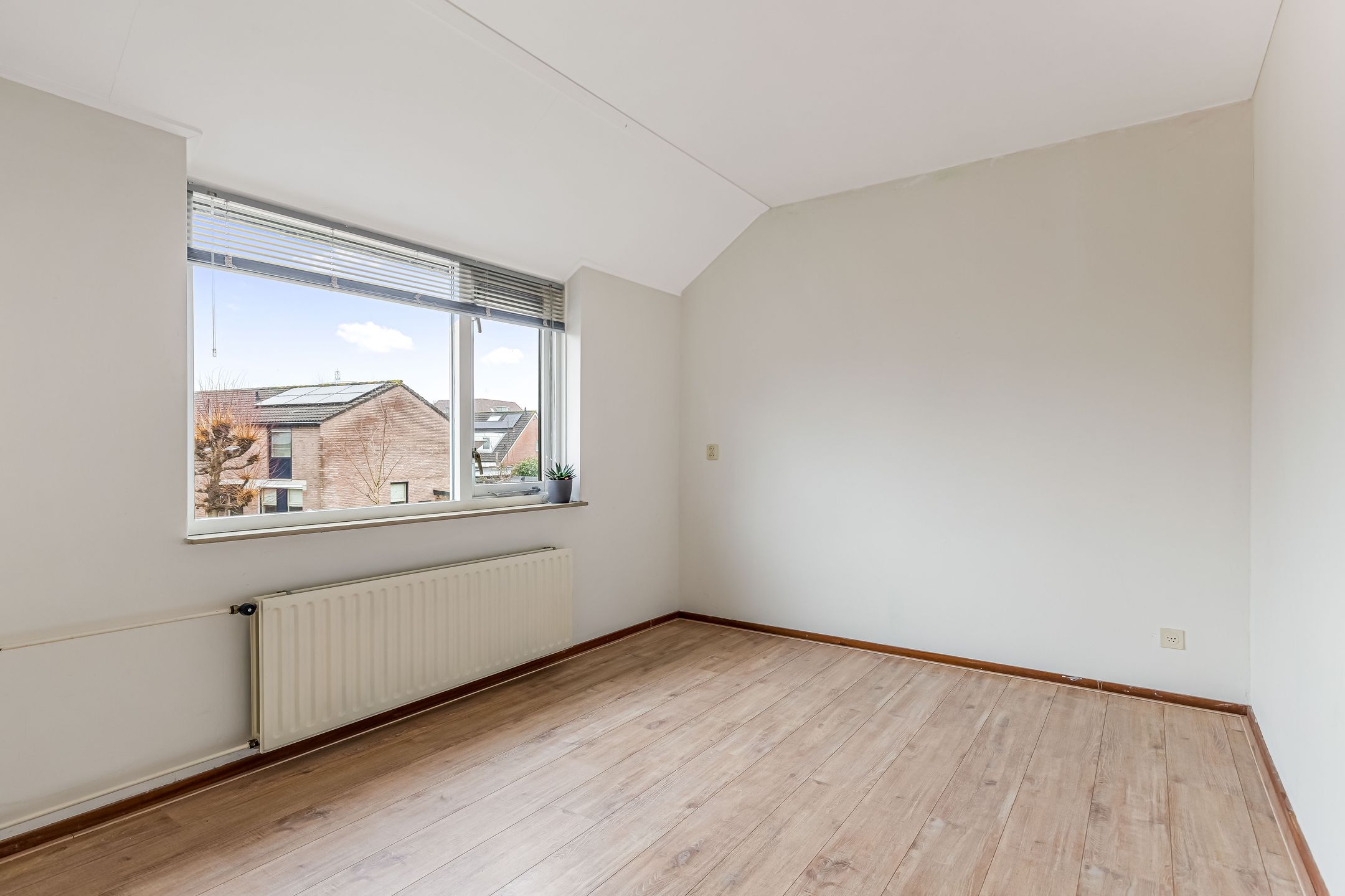 Foto 21 van Fluitekruid 58