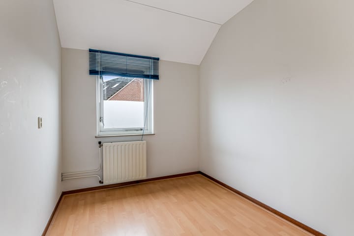 Foto 24 van Fluitekruid 58