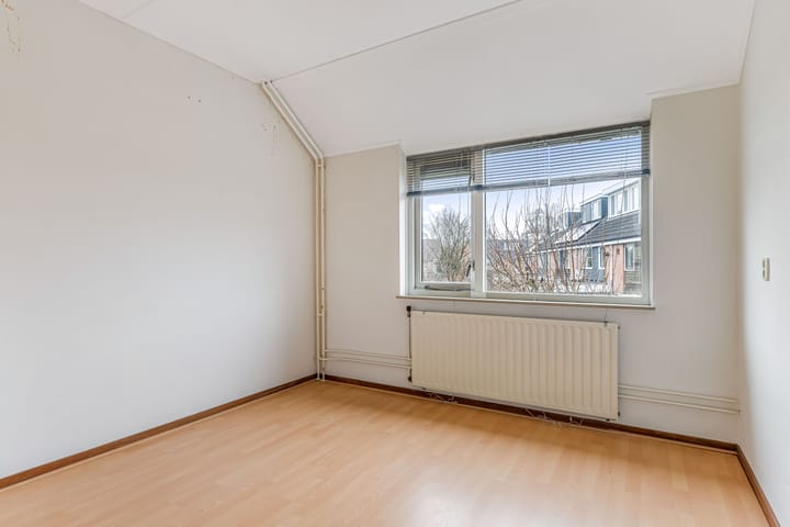 Foto 26 van Fluitekruid 58