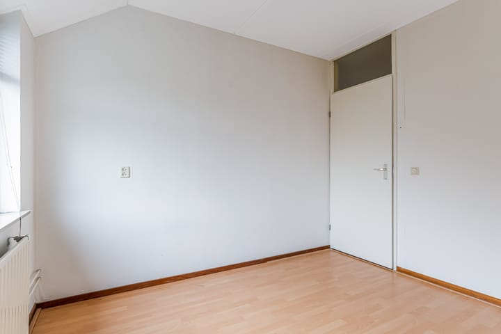 Foto 27 van Fluitekruid 58