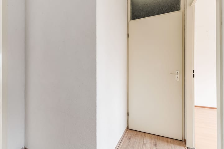 Foto 29 van Fluitekruid 58