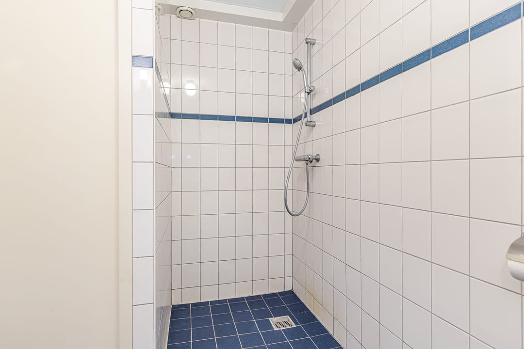 Foto 31 van Fluitekruid 58