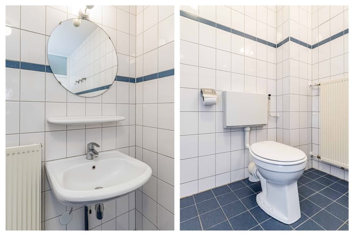 Foto 32 van Fluitekruid 58