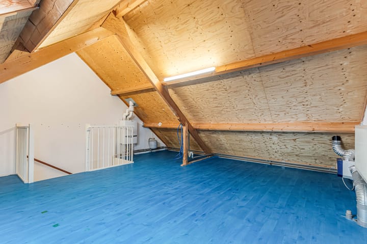 Foto 34 van Fluitekruid 58