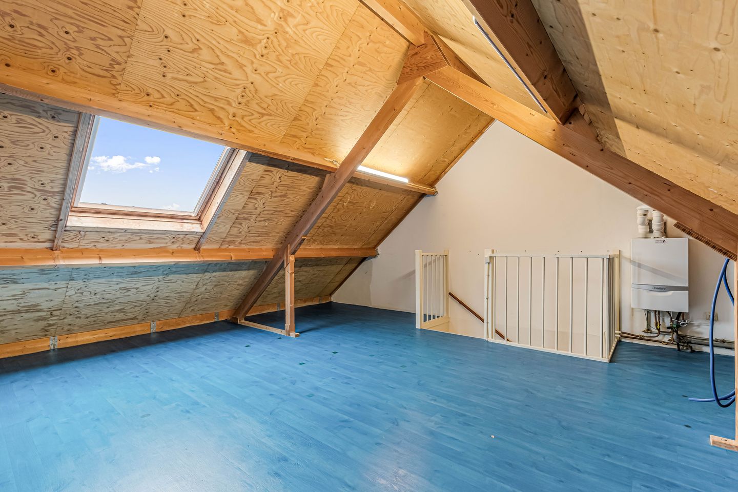 Foto 35 van Fluitekruid 58