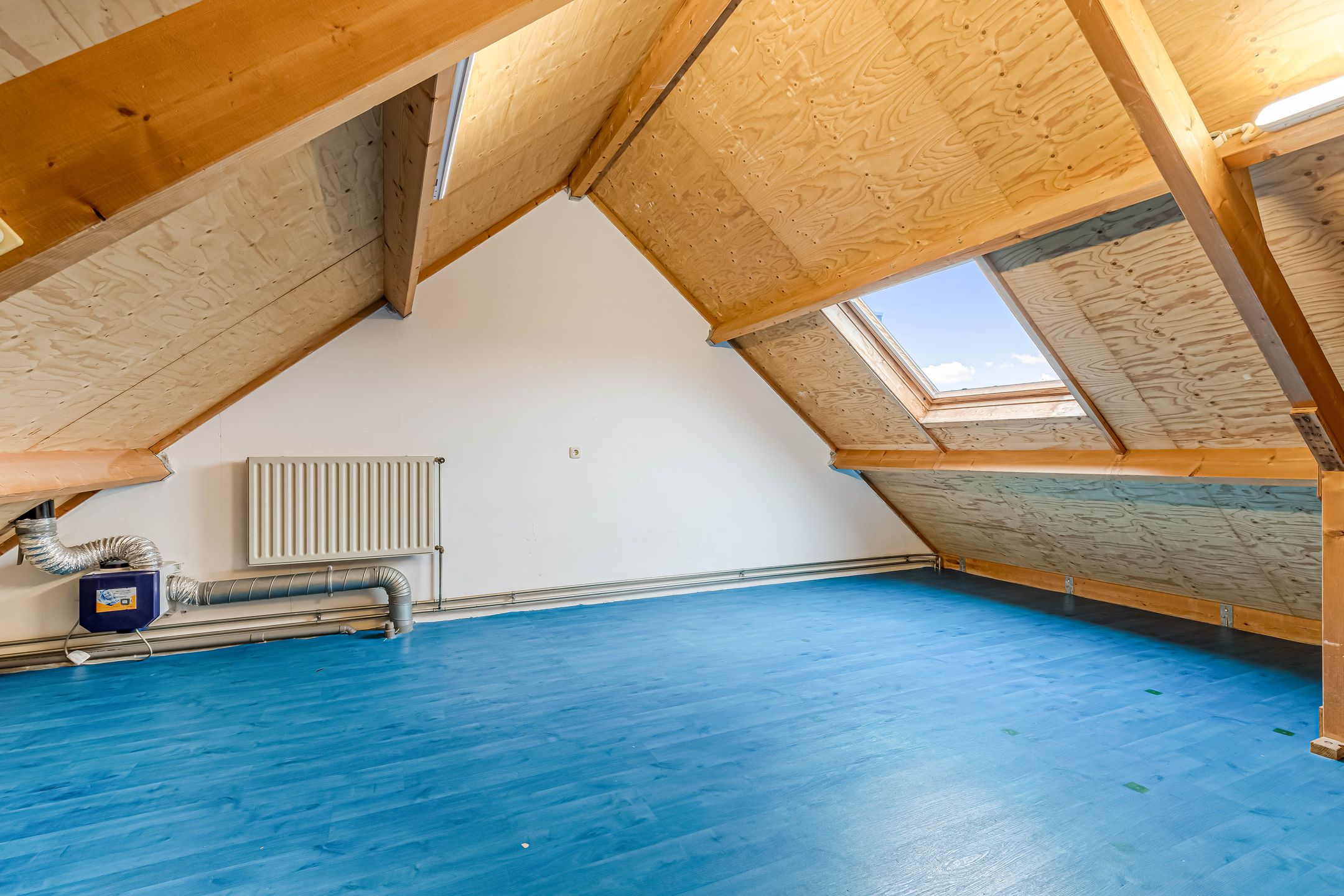 Foto 36 van Fluitekruid 58