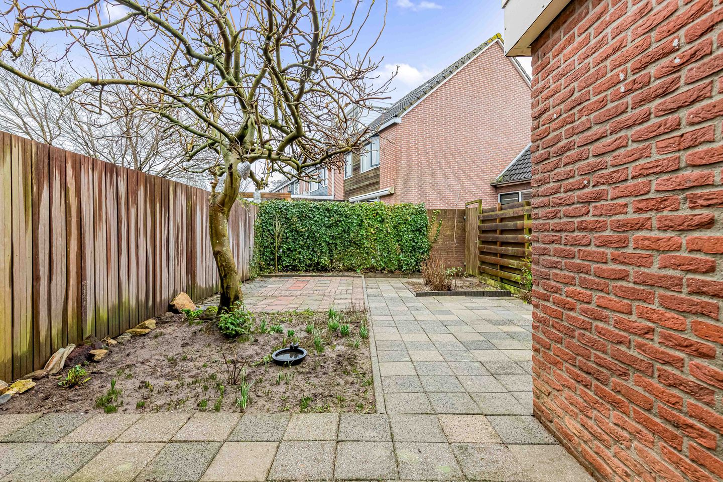 Foto 40 van Fluitekruid 58