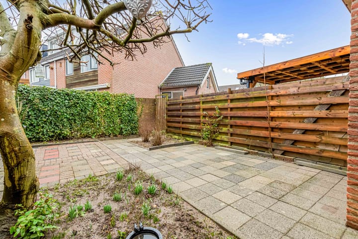 Foto 43 van Fluitekruid 58