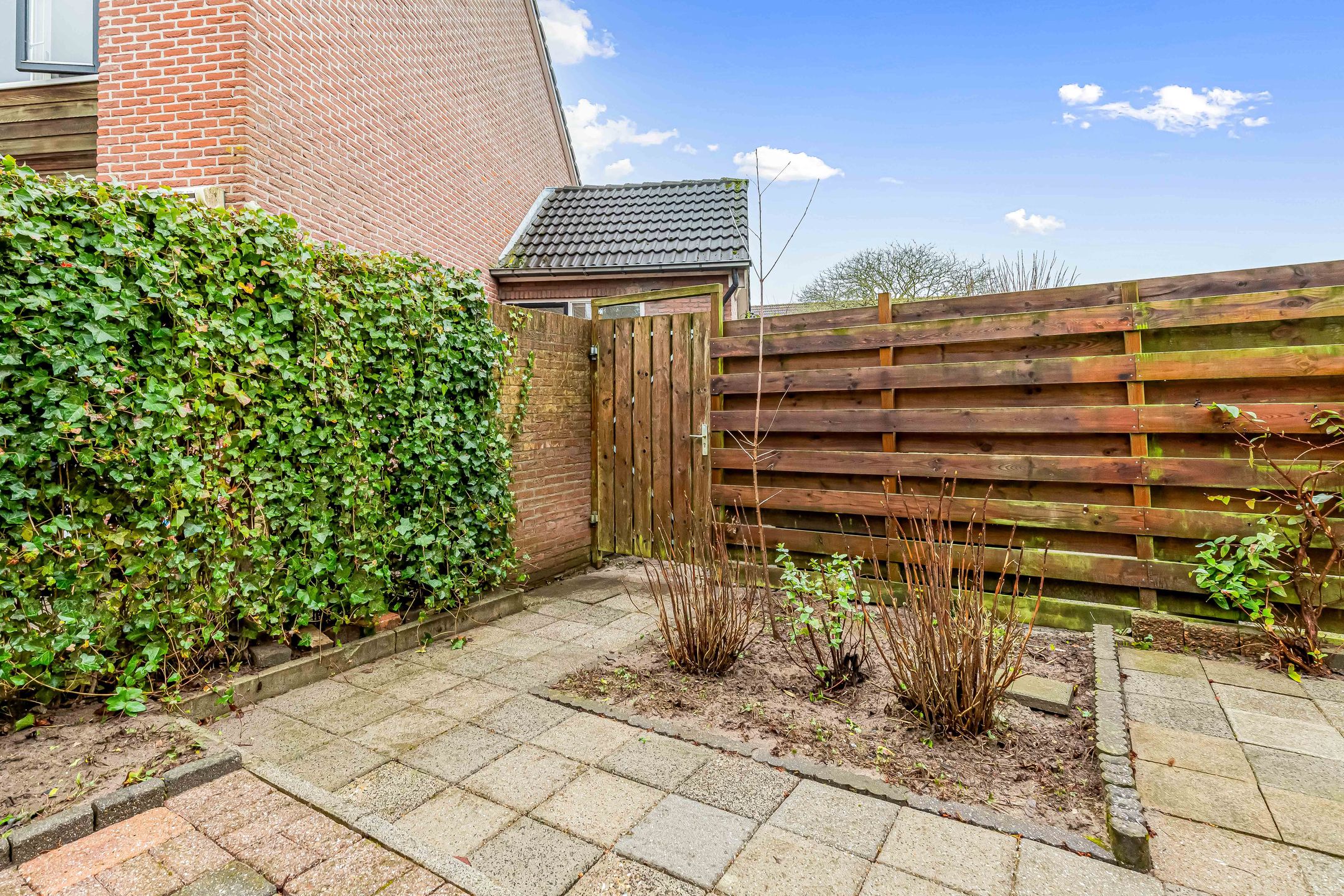 Foto 45 van Fluitekruid 58