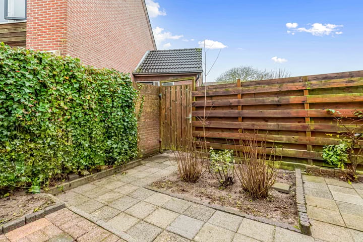 Foto 45 van Fluitekruid 58