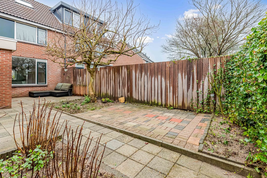 Foto 46 van Fluitekruid 58