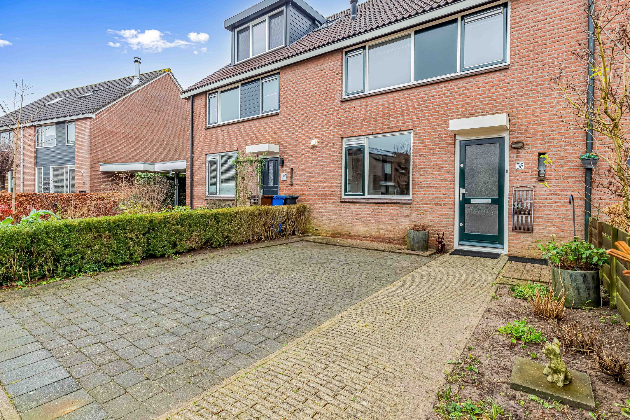 Foto 48 van Fluitekruid 58