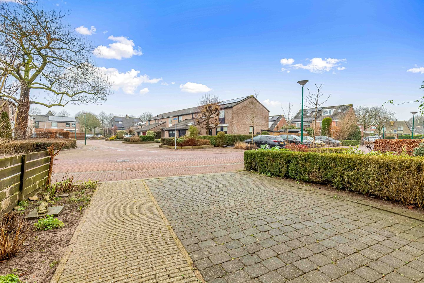 Foto 49 van Fluitekruid 58