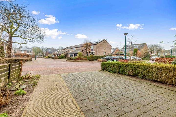 Foto 49 van Fluitekruid 58