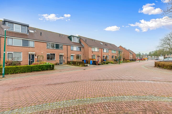 Foto 51 van Fluitekruid 58