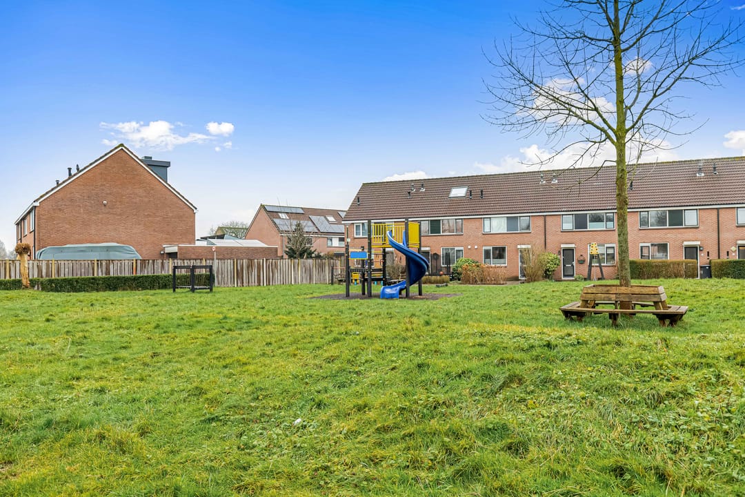 Foto 52 van Fluitekruid 58