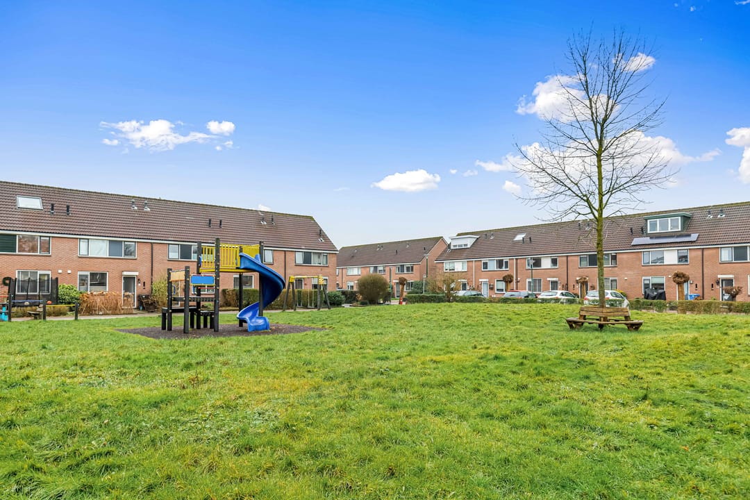 Foto 53 van Fluitekruid 58