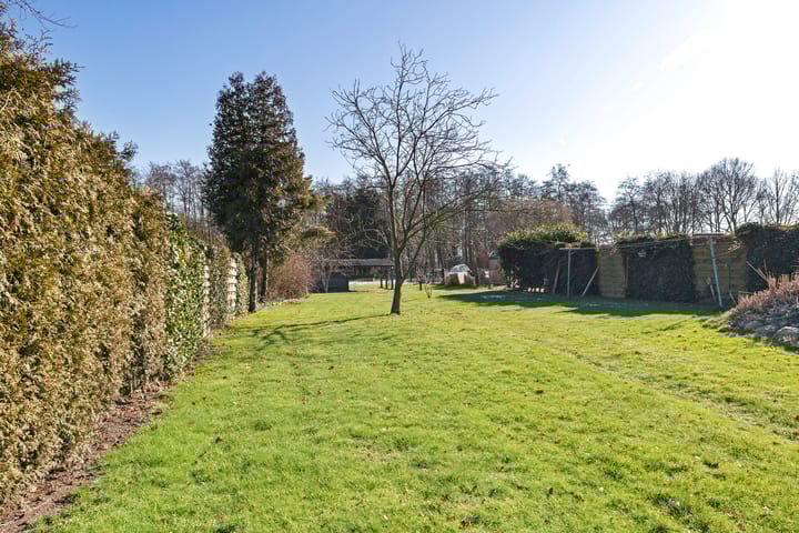 Photo 37 of Tramwijk ZZ 58