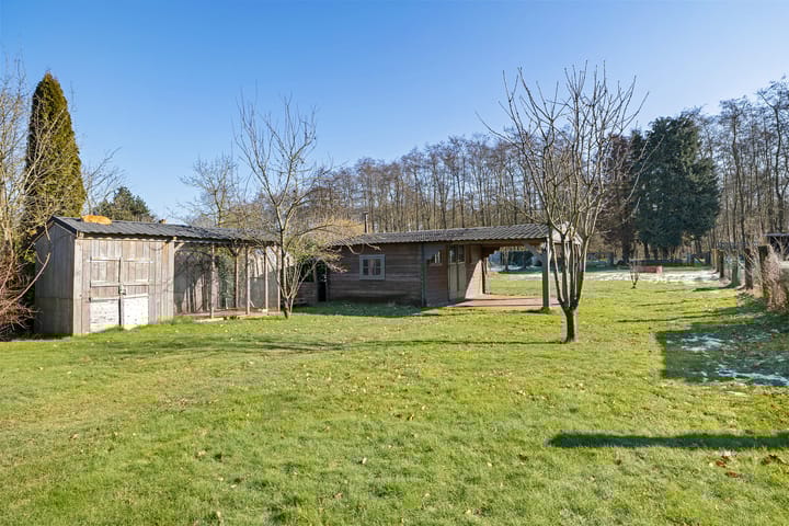 Photo 38 of Tramwijk ZZ 58