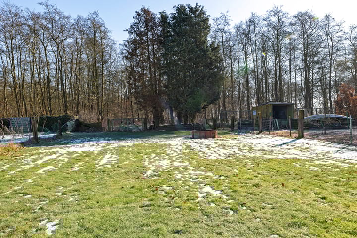 Photo 39 of Tramwijk ZZ 58