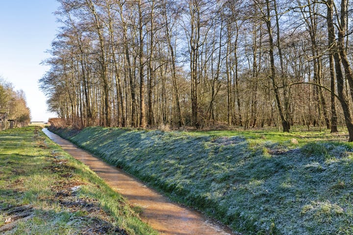 Photo 40 of Tramwijk ZZ 58