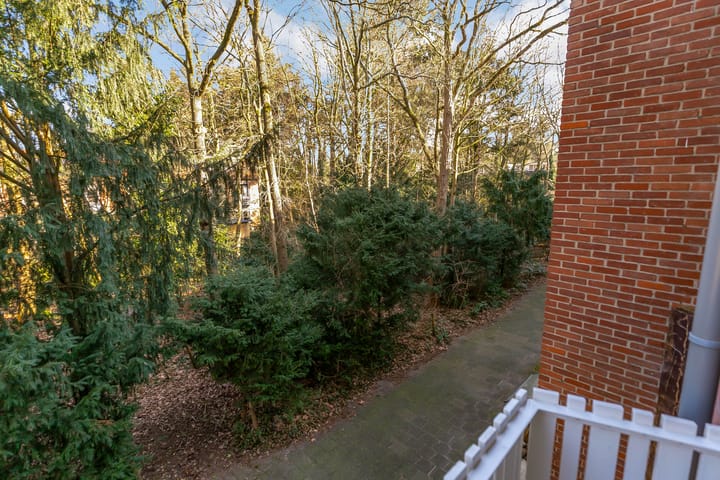 Foto 26 van Valckenboschlaan 44