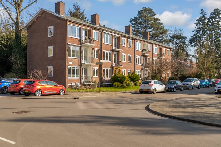 Foto 41 van Valckenboschlaan 44