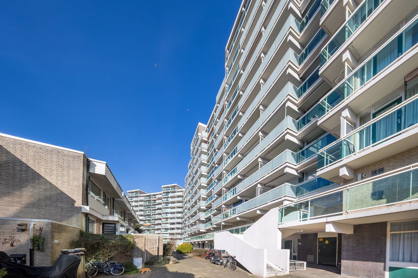 Foto 1 van Forellendaal 576