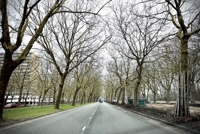 Foto 3 van Van Nijenrodeweg 57