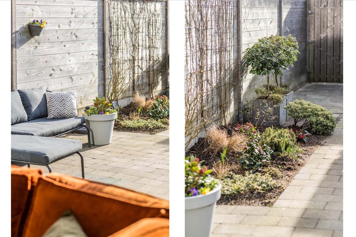 Foto 25 van Cornelis van der Loostraat 18