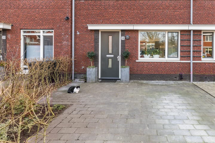 Foto 43 van Cornelis van der Loostraat 18