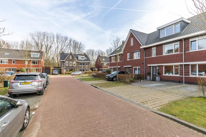 Foto 44 van Cornelis van der Loostraat 18