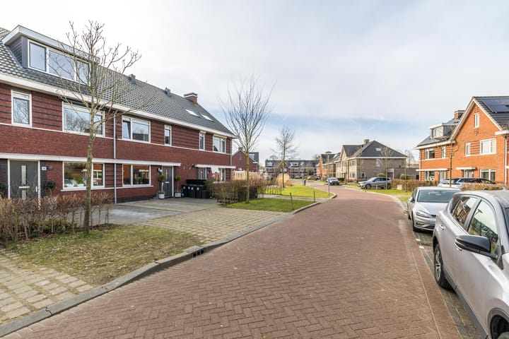 Foto 45 van Cornelis van der Loostraat 18