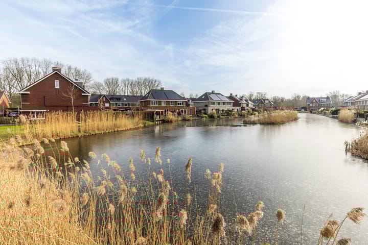 Foto 47 van Cornelis van der Loostraat 18