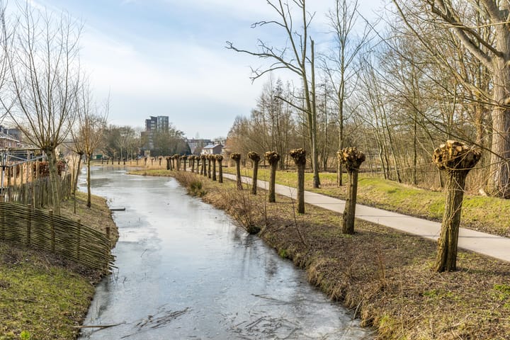 Foto 49 van Cornelis van der Loostraat 18