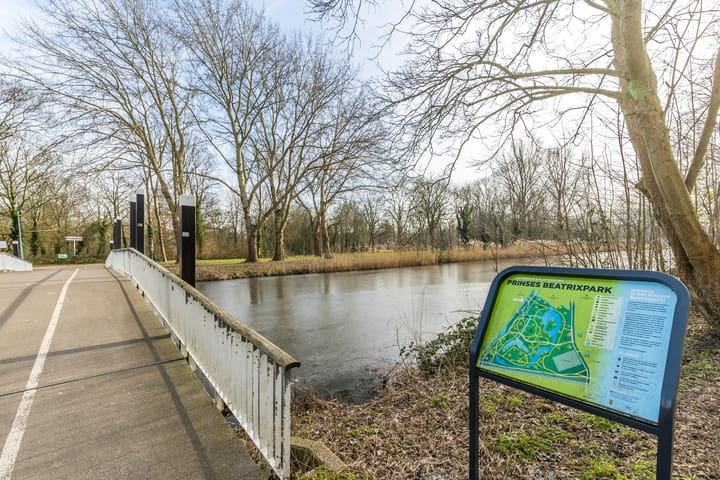 Foto 50 van Cornelis van der Loostraat 18