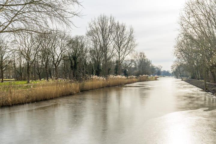 Foto 51 van Cornelis van der Loostraat 18