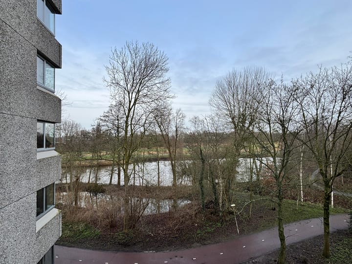 Foto 10 van Gouden Leeuw 920