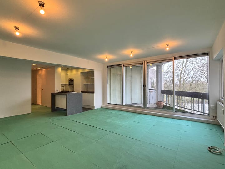 Foto 2 van Gouden Leeuw 920