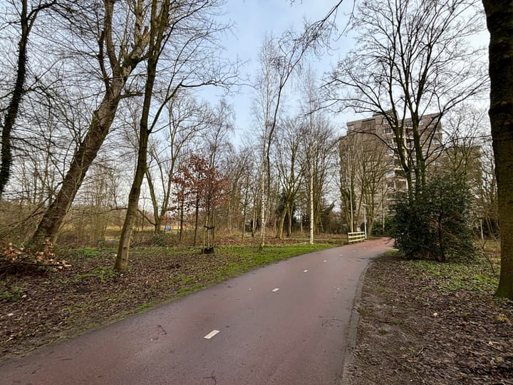 Foto 13 van Gouden Leeuw 920