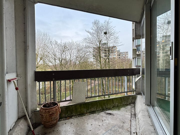 Foto 9 van Gouden Leeuw 920