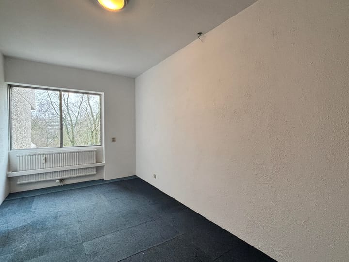 Foto 5 van Gouden Leeuw 920