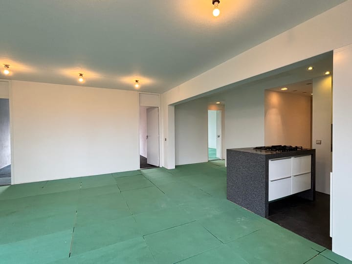 Foto 4 van Gouden Leeuw 920