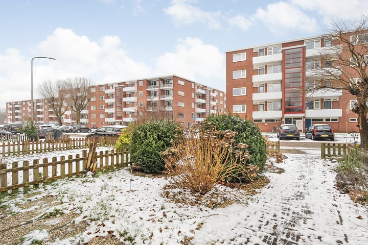 Foto 5 van Spaanskamp 8