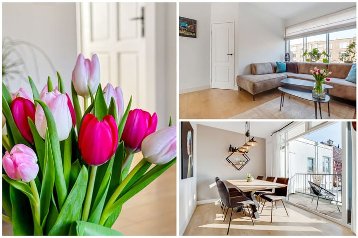 Foto 1 van Marnixlaan 53