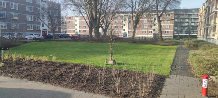 Foto 20 van Hanrathstraat 114