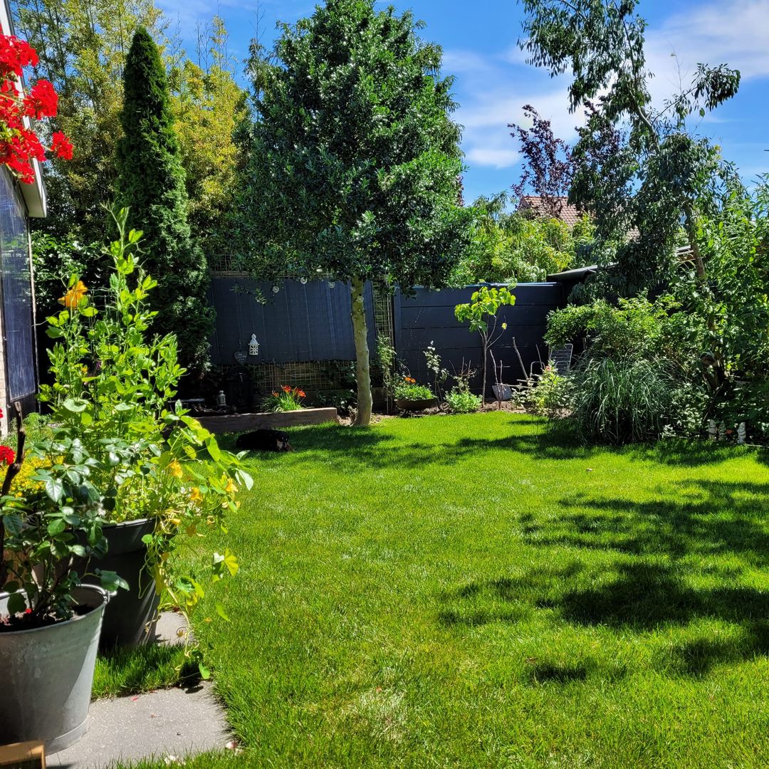 Photo 32 of Droonecampstraat 24