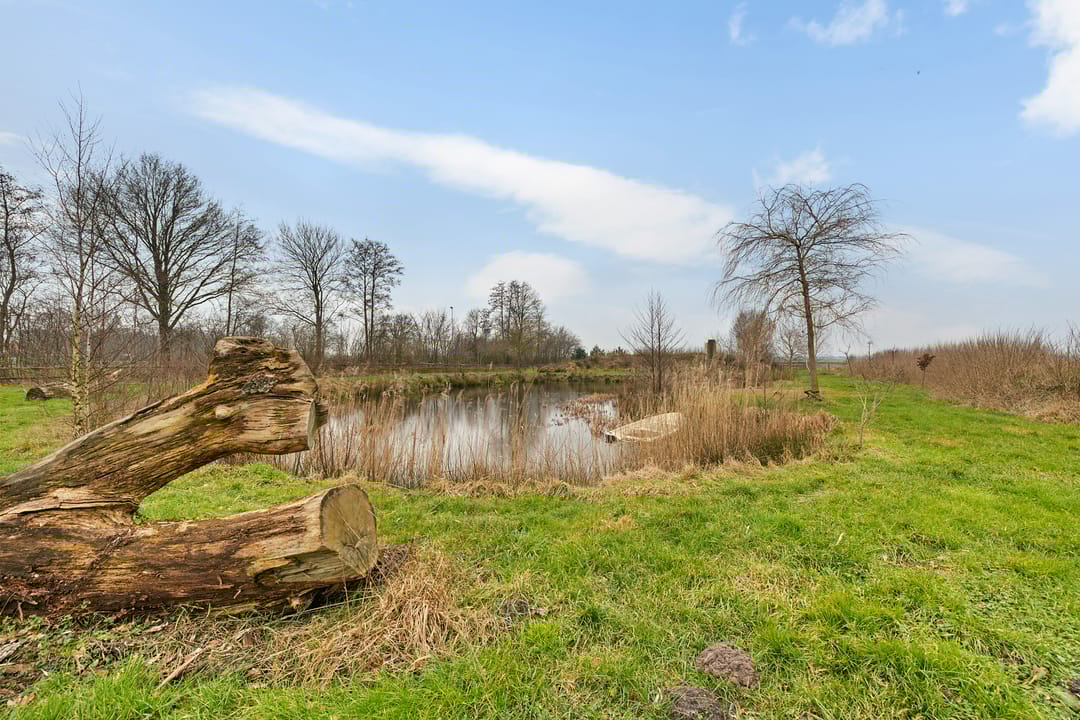 Foto 43 van Noorderstraat 17